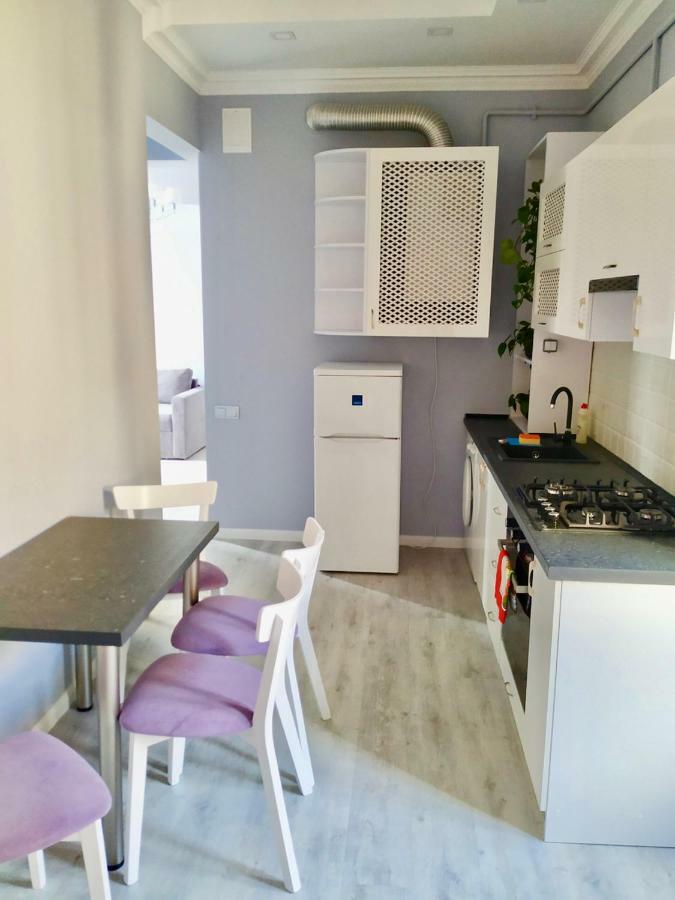 Romantic Panorama Krakivska Street Apartment Lviv